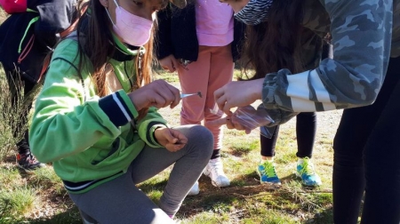 La dieta del lobo y acciones en el mar, un ejemplo del trabajo de Voz Natura en los colegios