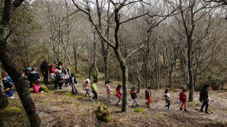 Voz Natura dedicará el próximo curso a la preservación de los montes