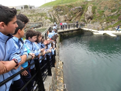 El Aquarium Finisterrae se abre para centros Voz Natura