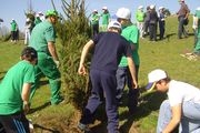 Voz Natura se prepara para pintar de verde Galicia reforestando sus montes