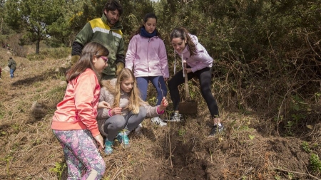 Voz Natura se acerca a la llamativa cifra de 200.000 árboles plantados desde 1997