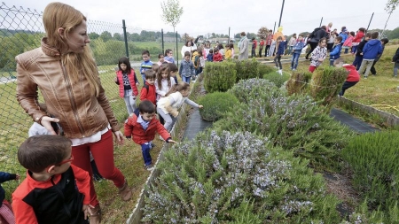 La naturaleza también está jugando su papel en el patio del colegio