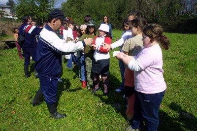 Máis de 2.500 docentes avalan a calidade dos traballos Voz Natura