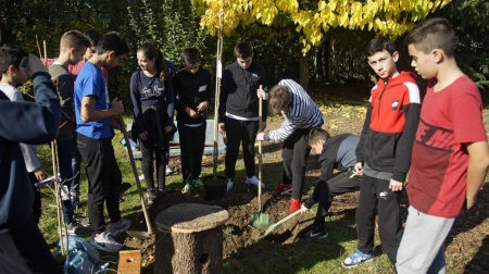 Voz Natura renueva su plan de acción tras superar los 5.000 proyectos realizados