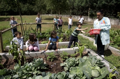 El comité científico comienza las visitas en la provincia de Ourense