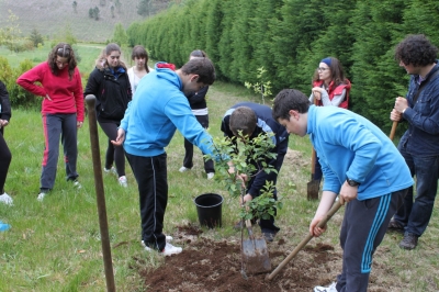 Voz Natura despide una edición dedicada a reforestar los montes